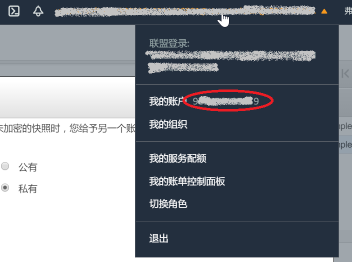 AWS 账号编码 AWS 账号编码
